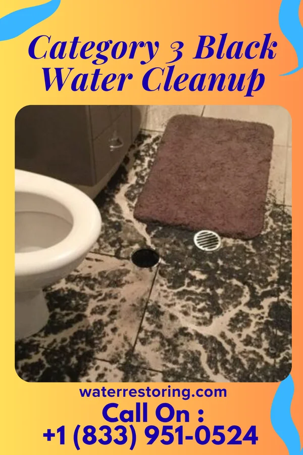 Category 3 Black Water Cleanup in Brooksville, FL